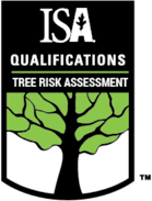 ISA qualifications