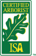 certified arborist