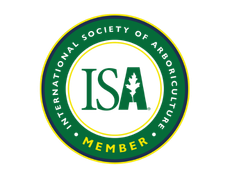 isa member